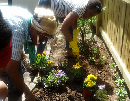 Planting a summer garden at the Shelter